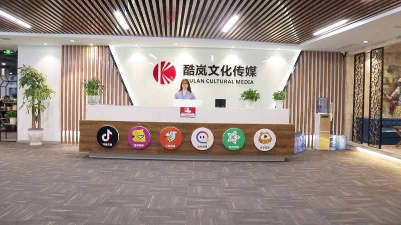 品牌设计公司如何打造视觉盛宴：优秀作品解析
