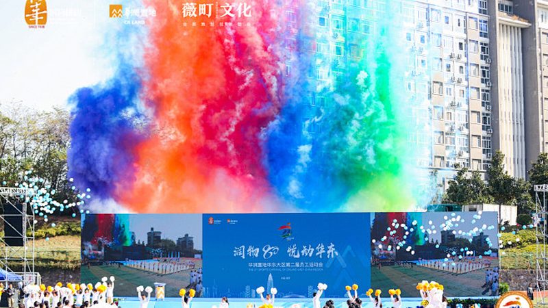 品牌策划服务流程：揭秘内容营销的奥秘